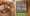 Vuoi Creare un Sito Bed and Breakfast: Guida Completa Vuoi Creare un Sito Bed and Breakfast: Guida Completa